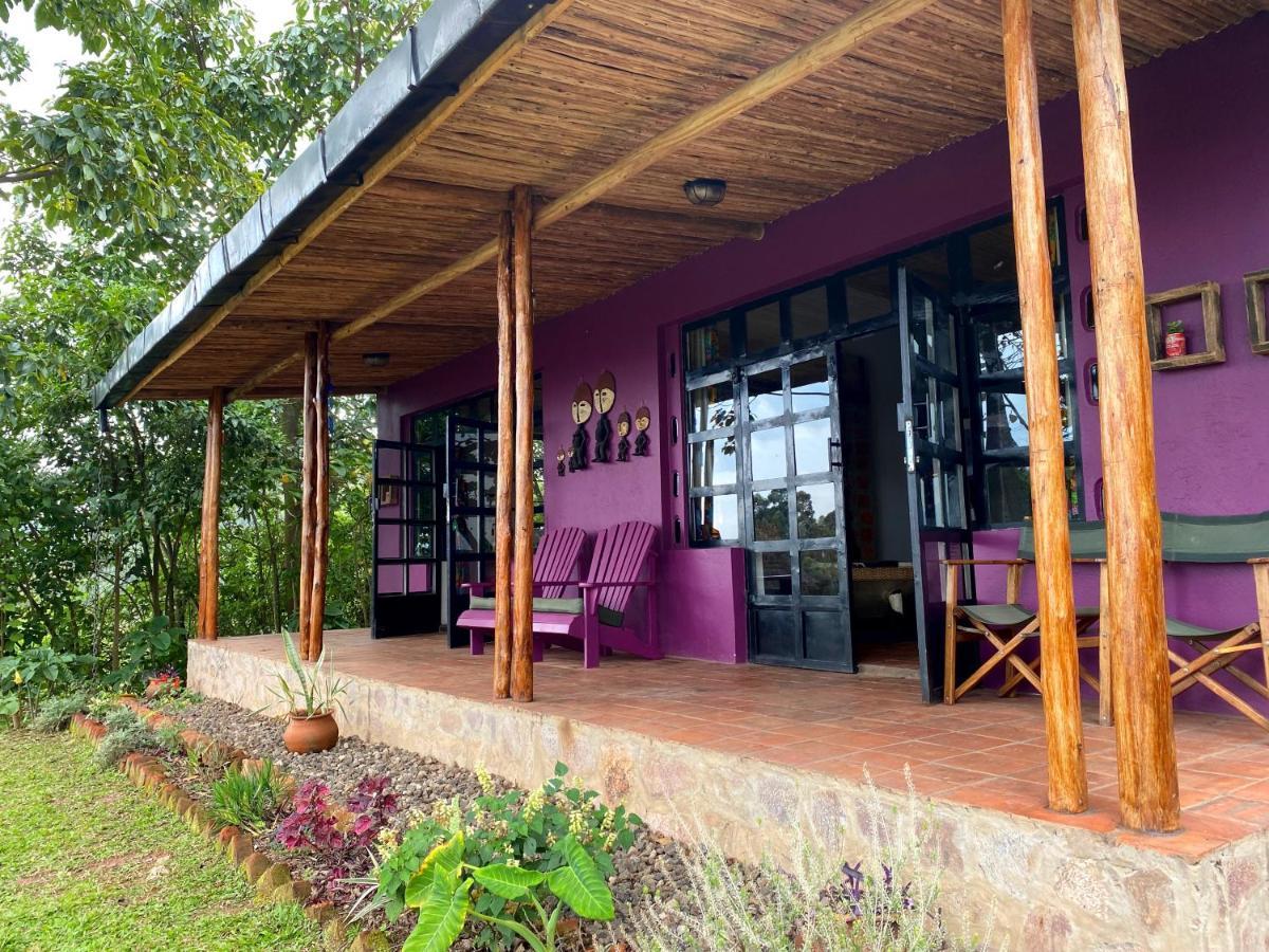 Chameleon Hill Forest Lodge Bwindi Impenetrable Park Εξωτερικό φωτογραφία