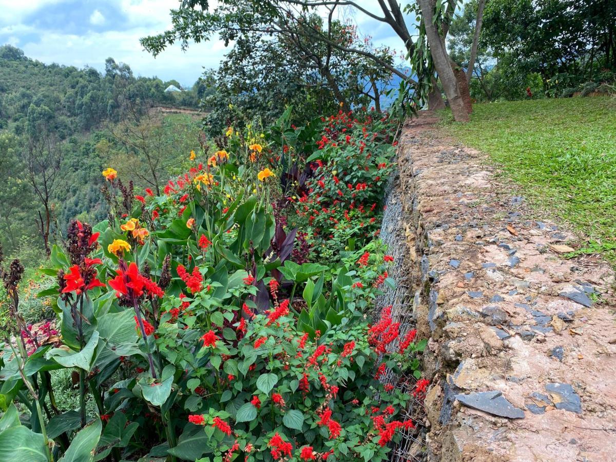 Chameleon Hill Forest Lodge Bwindi Impenetrable Park Εξωτερικό φωτογραφία