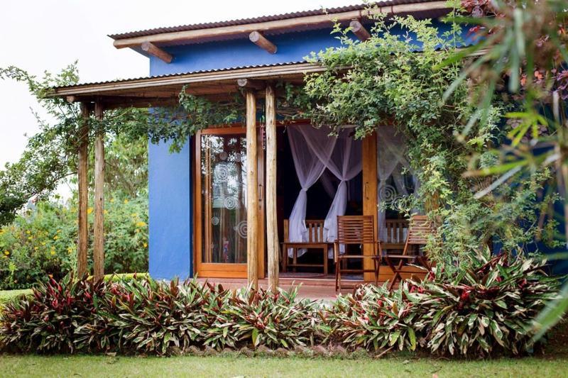 Chameleon Hill Forest Lodge Bwindi Impenetrable Park Εξωτερικό φωτογραφία