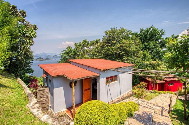 Chameleon Hill Forest Lodge Bwindi Impenetrable Park Εξωτερικό φωτογραφία