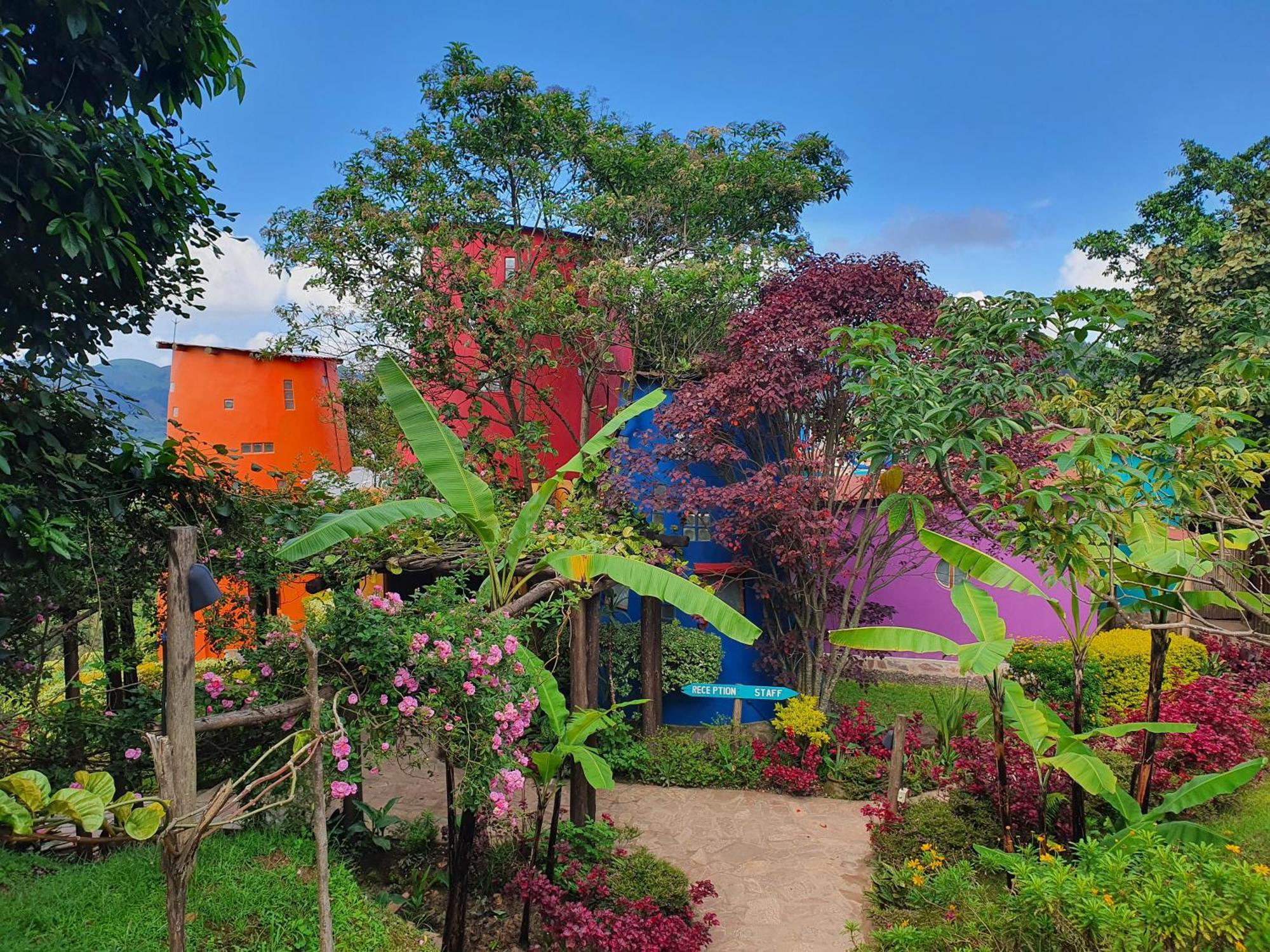 Chameleon Hill Forest Lodge Bwindi Impenetrable Park Εξωτερικό φωτογραφία